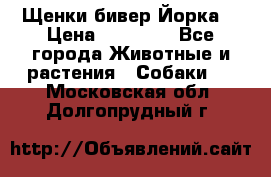 Щенки бивер Йорка  › Цена ­ 30 000 - Все города Животные и растения » Собаки   . Московская обл.,Долгопрудный г.